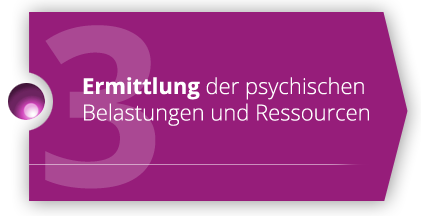 Ermittlung der psychischen Belastung und Ressourcen